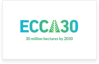 This is the ECCA30 logo.