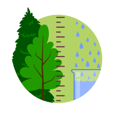 This is an illustration of some trees and a ruler.