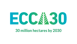 ECCA30 logo